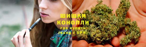 молекула духа Касимов