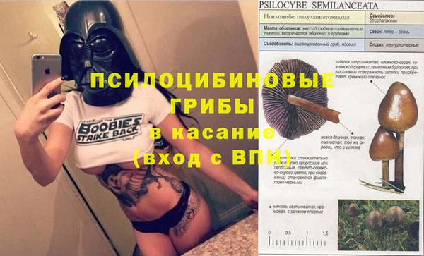 молекула духа Касимов