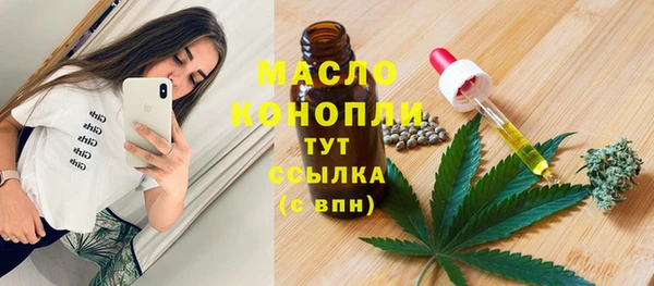 молекула духа Касимов